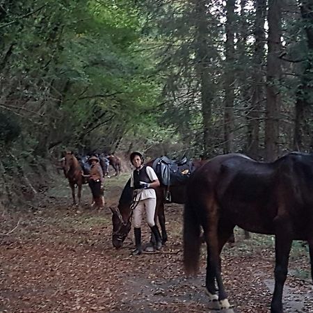 Ostello La Miniera Massa Marittima Buitenkant foto