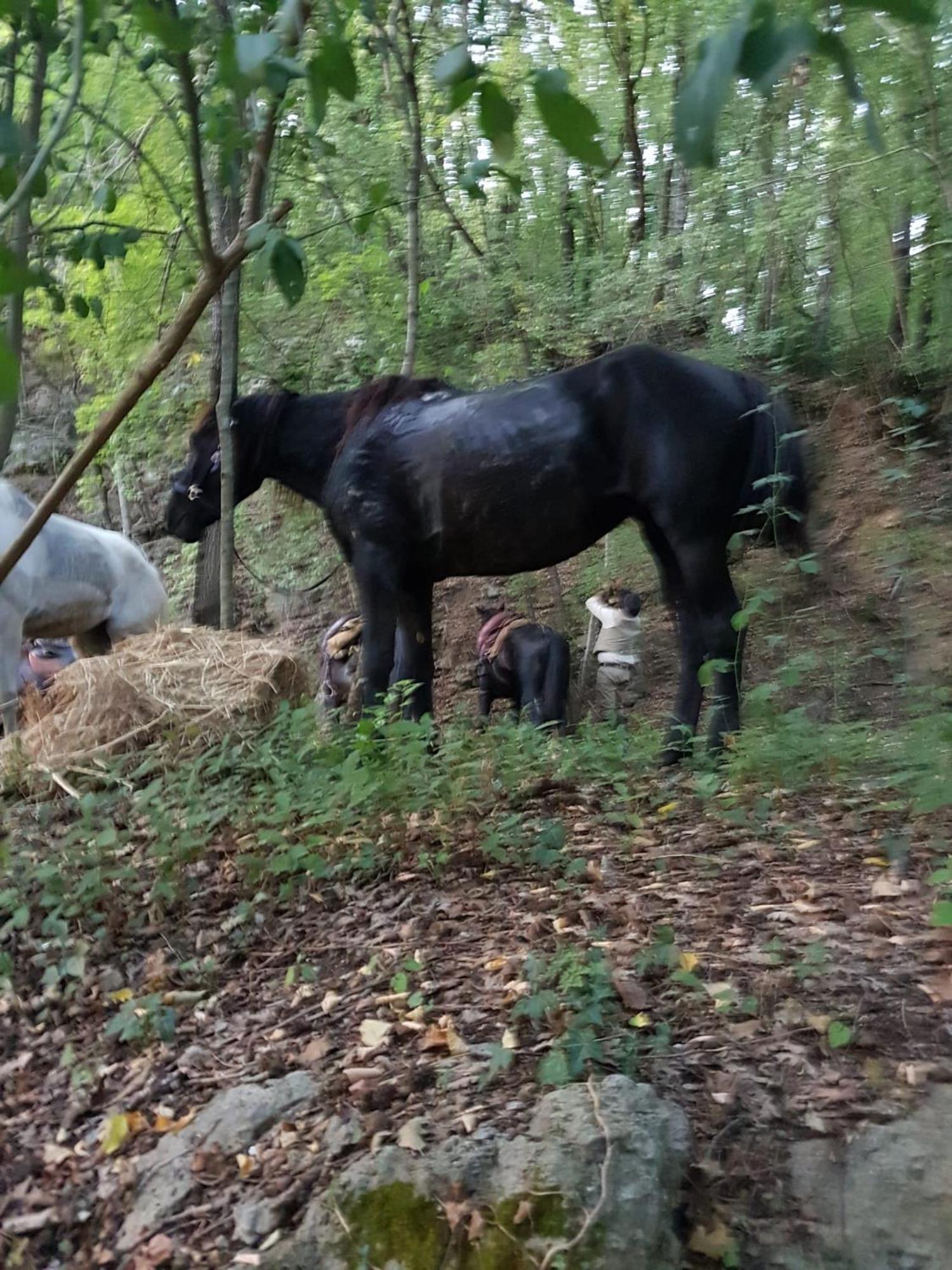 Ostello La Miniera Massa Marittima Buitenkant foto
