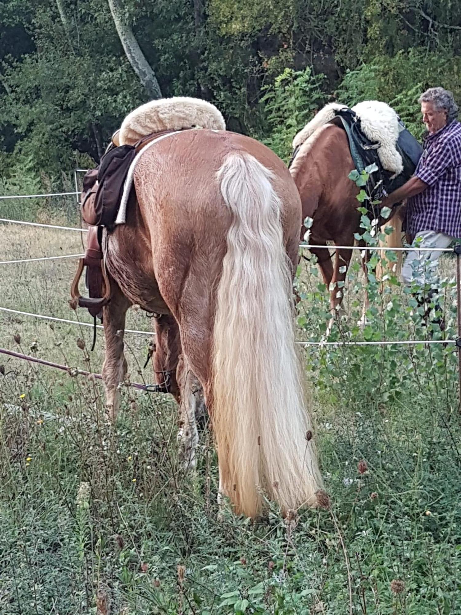 Ostello La Miniera Massa Marittima Buitenkant foto